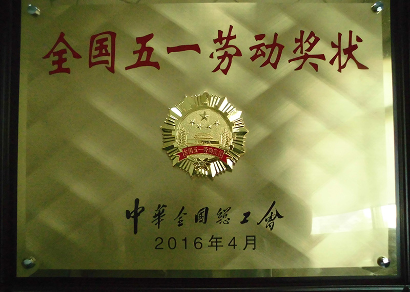 CIMG1837-01.jpg CIMG1837-01.jpg